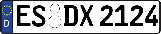 ES-DX2124