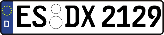 ES-DX2129
