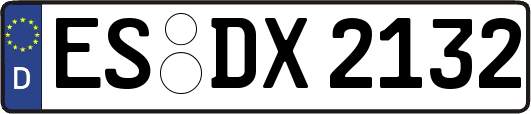 ES-DX2132