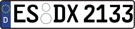 ES-DX2133