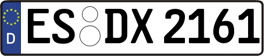 ES-DX2161