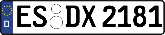 ES-DX2181
