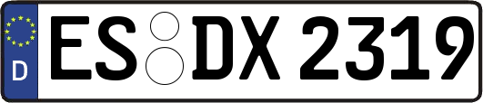 ES-DX2319