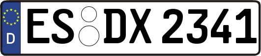 ES-DX2341