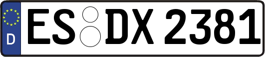 ES-DX2381
