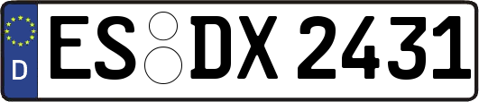 ES-DX2431