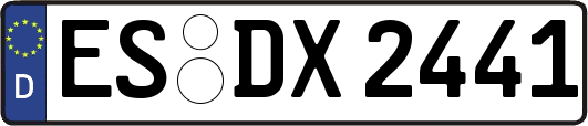 ES-DX2441