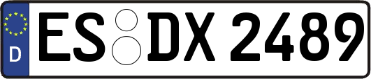 ES-DX2489