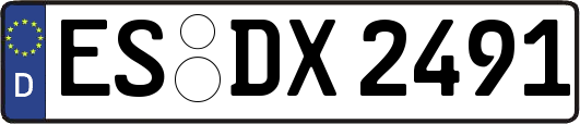 ES-DX2491