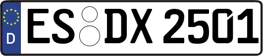 ES-DX2501