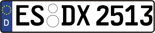 ES-DX2513