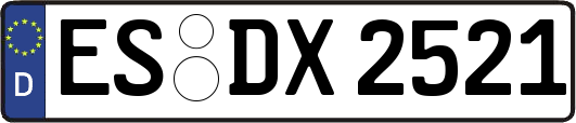 ES-DX2521