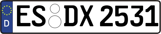 ES-DX2531