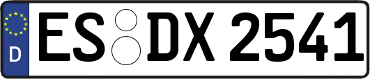 ES-DX2541