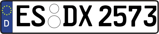 ES-DX2573