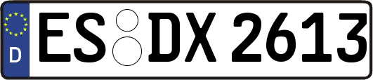 ES-DX2613