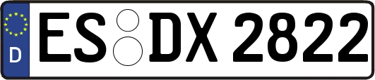 ES-DX2822