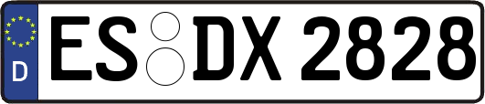 ES-DX2828