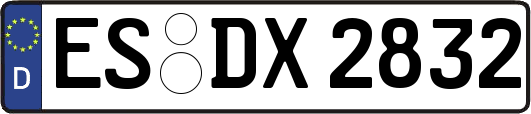 ES-DX2832