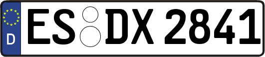 ES-DX2841