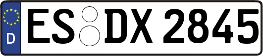 ES-DX2845