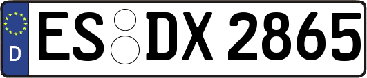 ES-DX2865