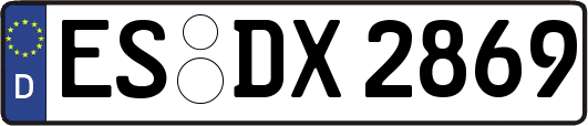 ES-DX2869