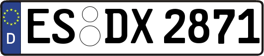 ES-DX2871