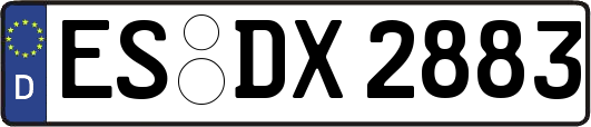 ES-DX2883