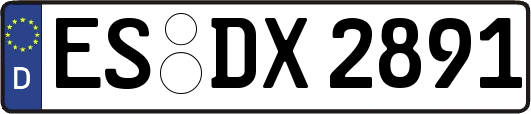 ES-DX2891