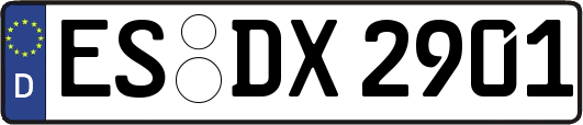 ES-DX2901