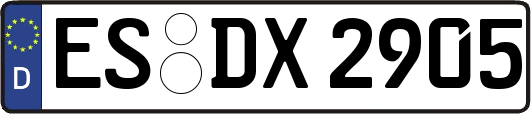 ES-DX2905