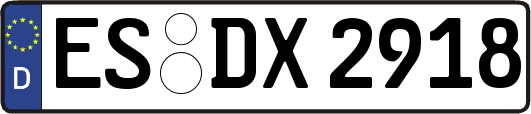 ES-DX2918