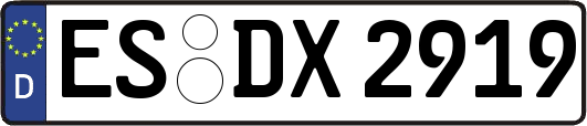 ES-DX2919