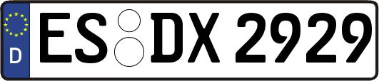ES-DX2929