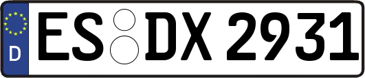 ES-DX2931