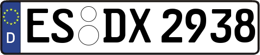 ES-DX2938