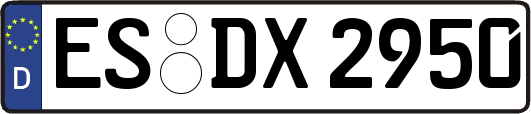ES-DX2950