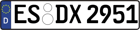 ES-DX2951
