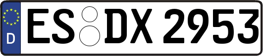 ES-DX2953