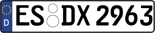 ES-DX2963