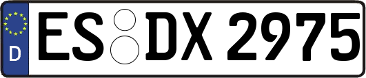 ES-DX2975