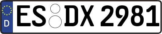 ES-DX2981