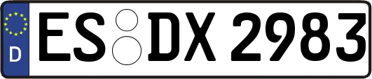 ES-DX2983