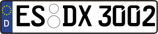 ES-DX3002