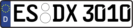 ES-DX3010