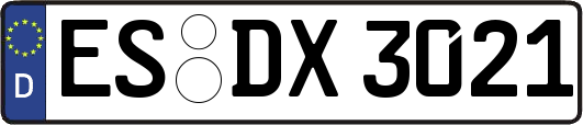 ES-DX3021