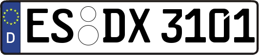 ES-DX3101