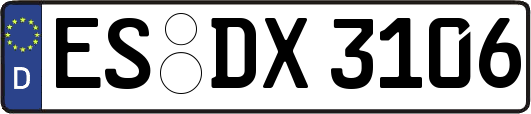 ES-DX3106