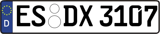 ES-DX3107